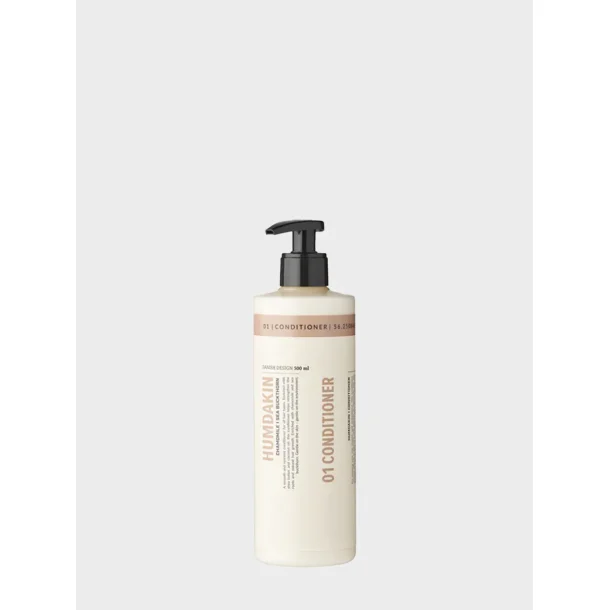 01 conditioner 