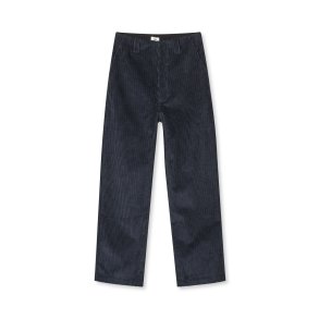 Pretty cord carly pants parisian ni