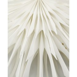 House doctor stjerne reef rhvid