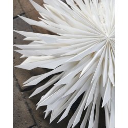 House doctor stjerne reef rhvid