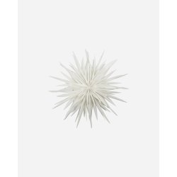 House doctor stjerne dust rhvid