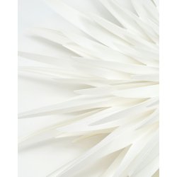 House doctor stjerne dust rhvid