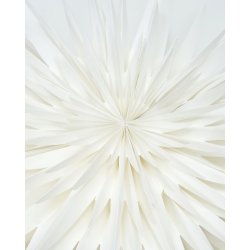 House doctor stjerne dust rhvid