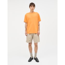 Dyed canvas beach shorts plaza taup