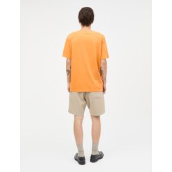 Dyed canvas beach shorts plaza taup