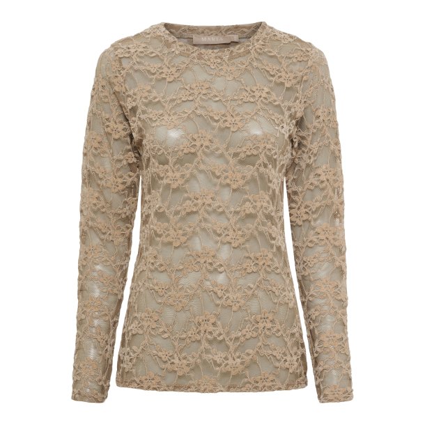 Mdcprimula ls tee fango