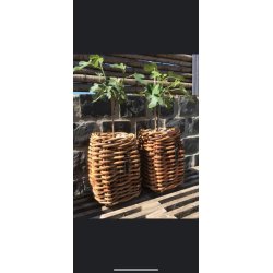 A2 leving kurv mini square