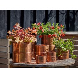 A2 living flower pot copper 6 stk