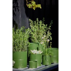 A2 living flower pot green 6 stk