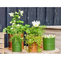 A2 living flower pot green 6 stk