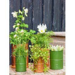 A2 living vase green 2 stk