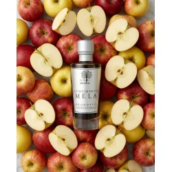 �ble condimento 100 ml.