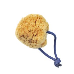 Andre Jardin natursvamp 