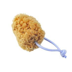 Atelier du Savon natursvamp lysebl� 