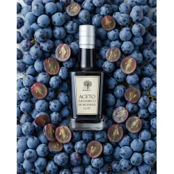Balsamico fra Modena I.G.P. 250 ml