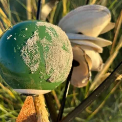 Earth medium keramik green