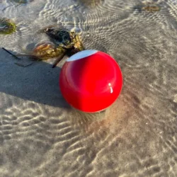 Earth medium keramik red