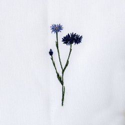 Flora serviet kornblomst