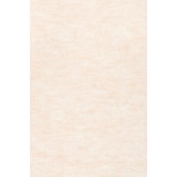 Frkanva pu 2 20615988-200662