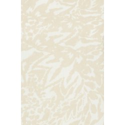 Frmaddie top 1 20614062-203087