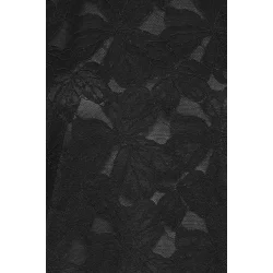 Frmirabella bl 1 20617239-194008