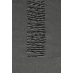 Frpasmira sc 1 20616170-1902031