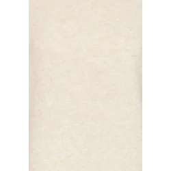 Frrisal pu 1 20617325-900002975