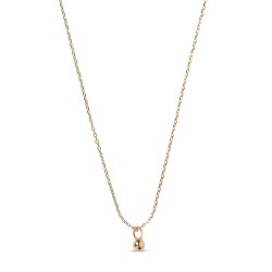 Halskde balloon N1303G