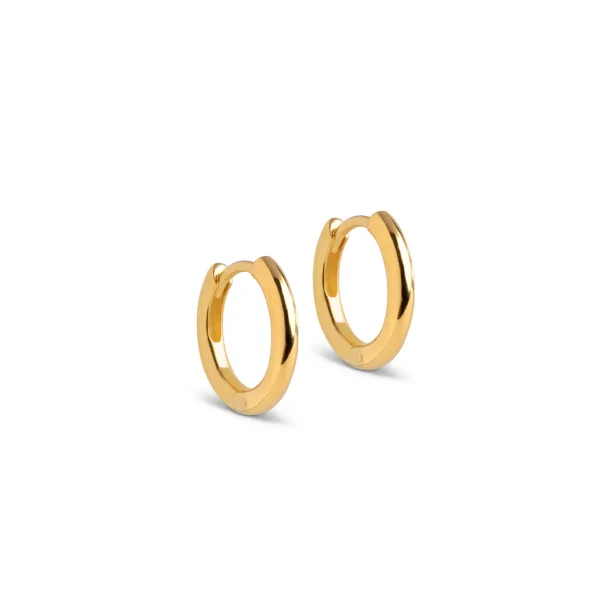 Hoops chunky classic E249G