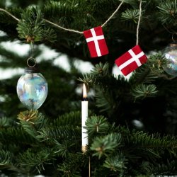 Lille flagranke, DK 10 flag 49905B