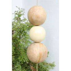 Mango tree ball large