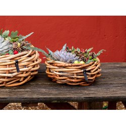 Mini rund rattanbowle 