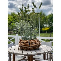 Mini rund rattanbowle 