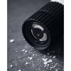 Nicolas vahe salt french sea 