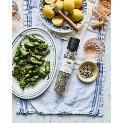 Nicolas vah salt garlic & ginger 