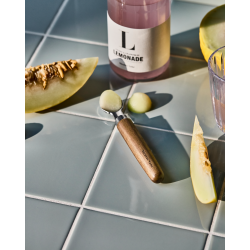 Nicolas vah scooper NVmelon, natur