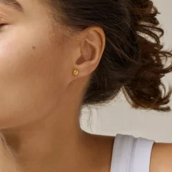 restikker organic clover E412GM