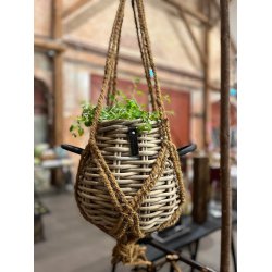 Ophngsreb coconut fibre