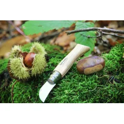 Opinel kastanje- og hvidlgs kniv 