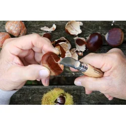 Opinel kastanje- og hvidlgs kniv 