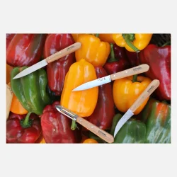 Opinel urteknivst bg