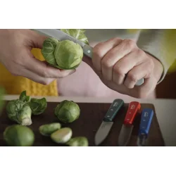 Opinel urteknivst primo 