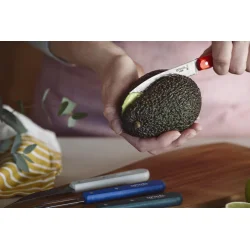 Opinel urteknivst primo 