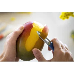 Opinel urteknivst primo 