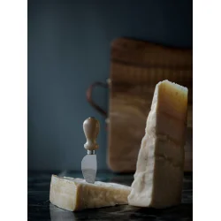 Parmesankniv oliventr�
