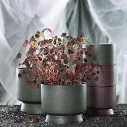 Ro Urtepotteskjuler 15 Grn