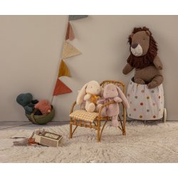 Safai friends lve stor 16-5600-00