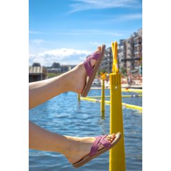 Shangies Women Dusty Purple