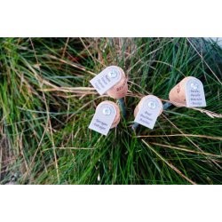 A2 living Krydderurte spyd