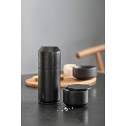 By wirth salt me sort